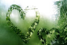 里尔客场大胜，反超对手稳固前四位置